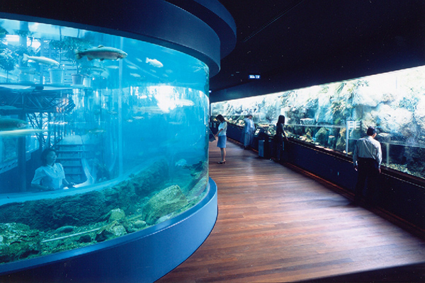富士湧水の里水族館(さかな公園)