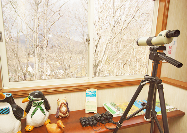 バードウォッチング